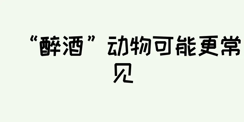 “醉酒”动物可能更常见