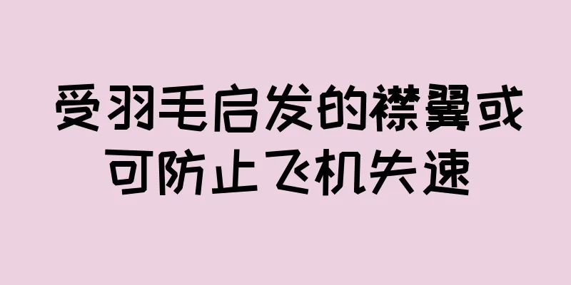 受羽毛启发的襟翼或可防止飞机失速