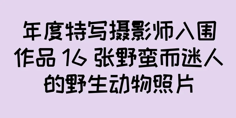 年度特写摄影师入围作品 16 张野蛮而迷人的野生动物照片