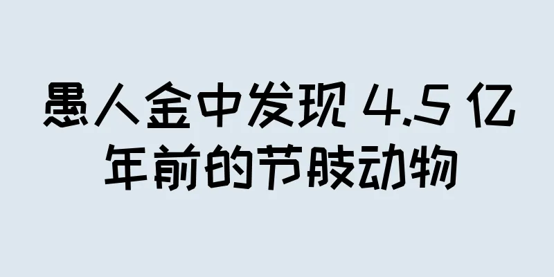 愚人金中发现 4.5 亿年前的节肢动物