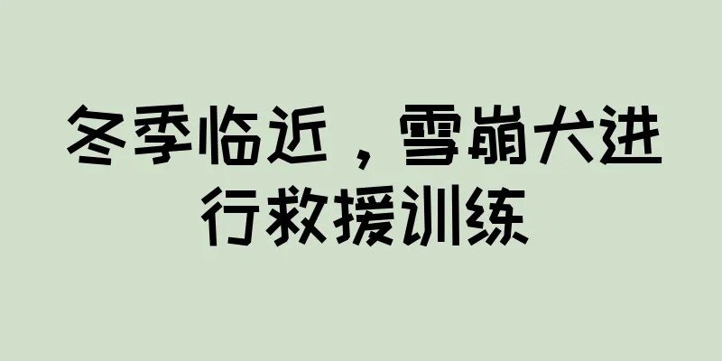 冬季临近，雪崩犬进行救援训练