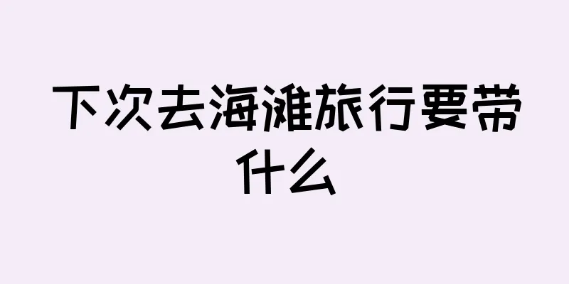下次去海滩旅行要带什么