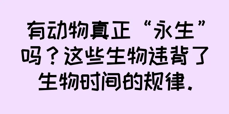 有动物真正“永生”吗？这些生物违背了生物时间的规律。