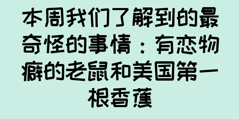 本周我们了解到的最奇怪的事情：有恋物癖的老鼠和美国第一根香蕉