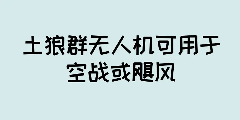 土狼群无人机可用于空战或飓风