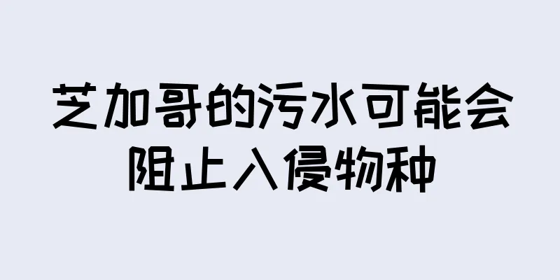 芝加哥的污水可能会阻止入侵物种