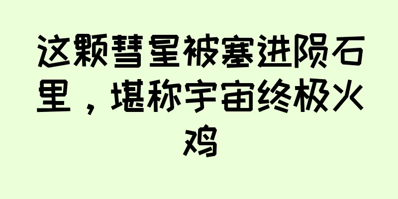 这颗彗星被塞进陨石里，堪称宇宙终极火鸡