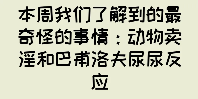 本周我们了解到的最奇怪的事情：动物卖淫和巴甫洛夫尿尿反应