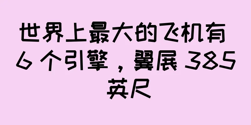 世界上最大的飞机有 6 个引擎，翼展 385 英尺