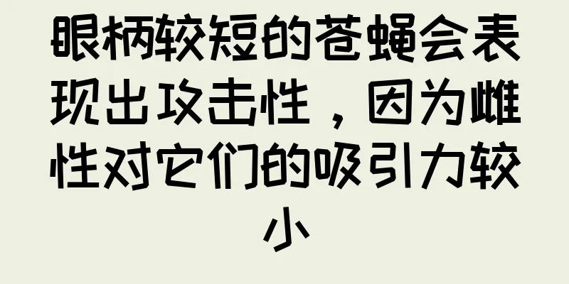 眼柄较短的苍蝇会表现出攻击性，因为雌性对它们的吸引力较小