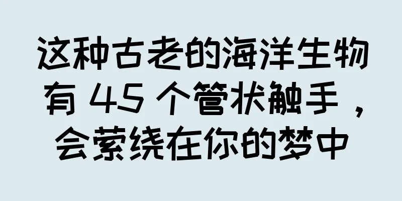 这种古老的海洋生物有 45 个管状触手，会萦绕在你的梦中