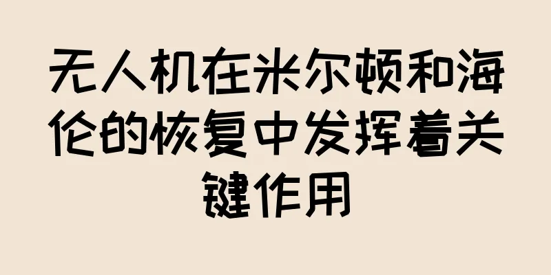 无人机在米尔顿和海伦的恢复中发挥着关键作用