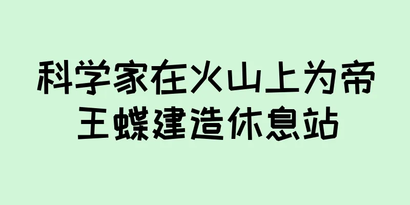 科学家在火山上为帝王蝶建造休息站