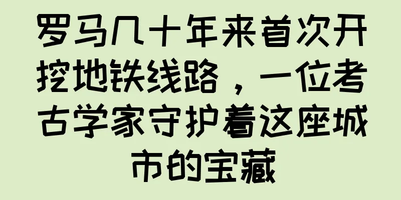 罗马几十年来首次开挖地铁线路，一位考古学家守护着这座城市的宝藏