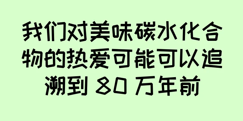 我们对美味碳水化合物的热爱可能可以追溯到 80 万年前