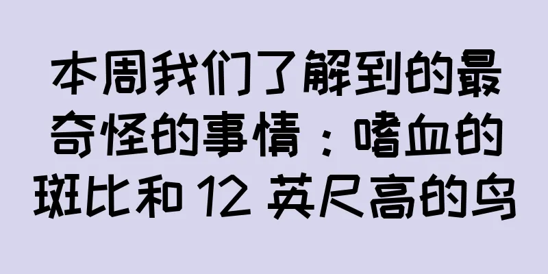 本周我们了解到的最奇怪的事情：嗜血的斑比和 12 英尺高的鸟