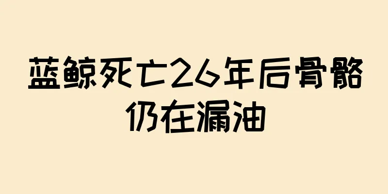 蓝鲸死亡26年后骨骼仍在漏油