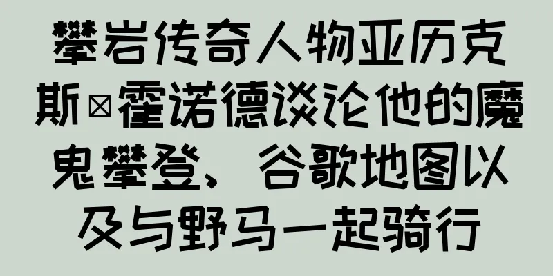 攀岩传奇人物亚历克斯·霍诺德谈论他的魔鬼攀登、谷歌地图以及与野马一起骑行