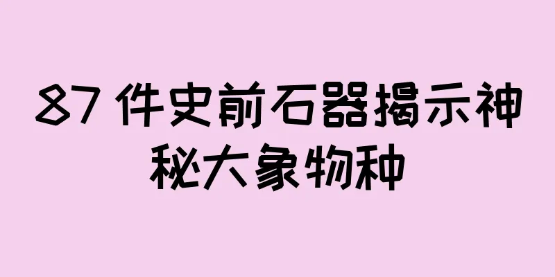 87 件史前石器揭示神秘大象物种
