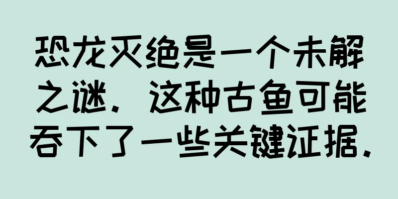 恐龙灭绝是一个未解之谜。这种古鱼可能吞下了一些关键证据。