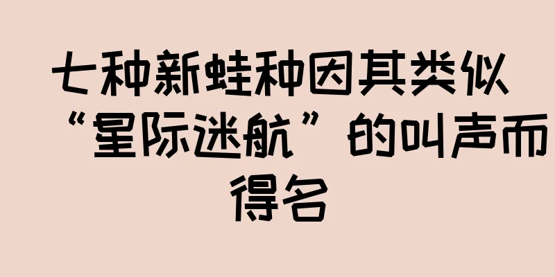 七种新蛙种因其类似“星际迷航”的叫声而得名