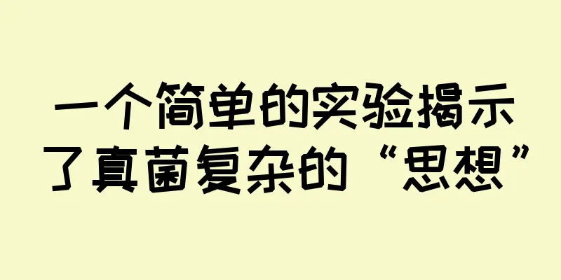 一个简单的实验揭示了真菌复杂的“思想”