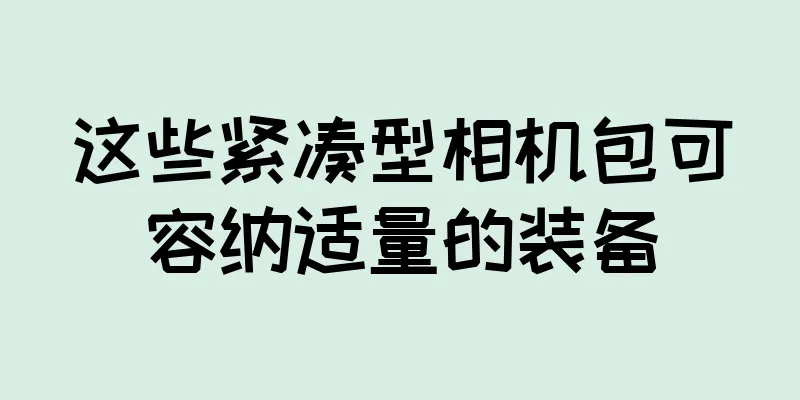 这些紧凑型相机包可容纳适量的装备
