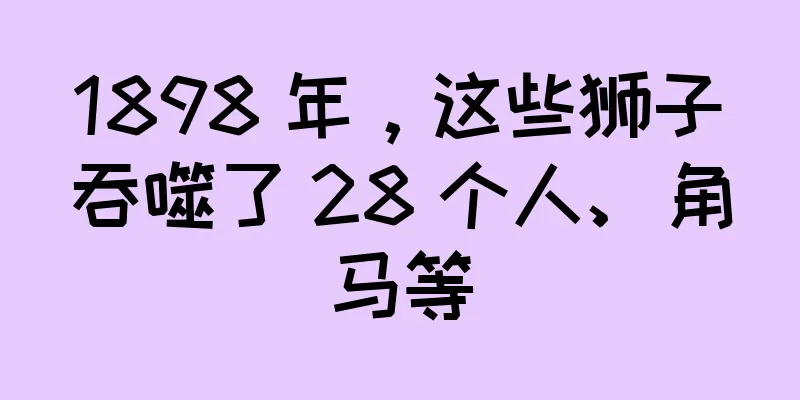 1898 年，这些狮子吞噬了 28 个人、角马等