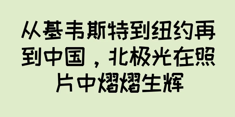 从基韦斯特到纽约再到中国，北极光在照片中熠熠生辉