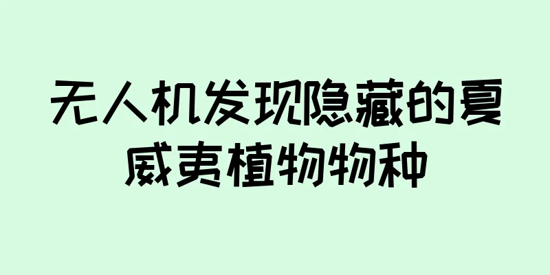 无人机发现隐藏的夏威夷植物物种