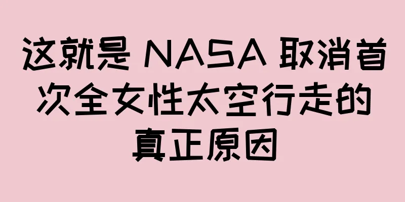 这就是 NASA 取消首次全女性太空行走的真正原因
