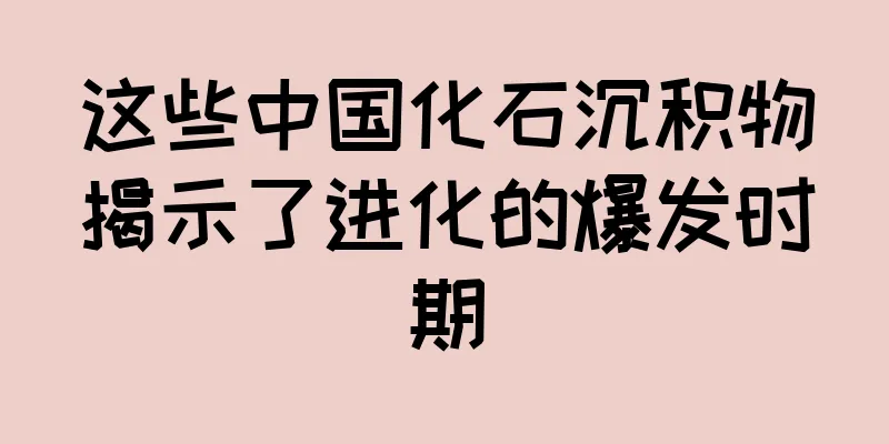 这些中国化石沉积物揭示了进化的爆发时期