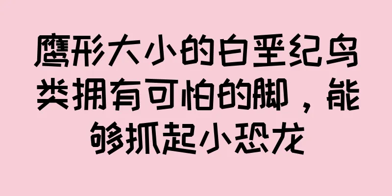 鹰形大小的白垩纪鸟类拥有可怕的脚，能够抓起小恐龙