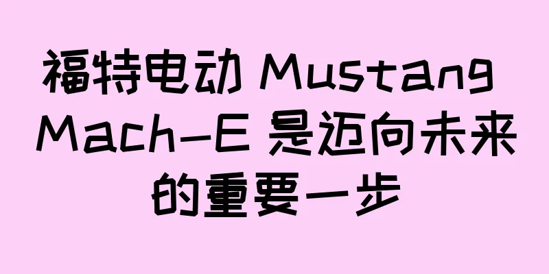福特电动 Mustang Mach-E 是迈向未来的重要一步