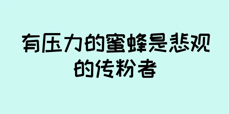 有压力的蜜蜂是悲观的传粉者