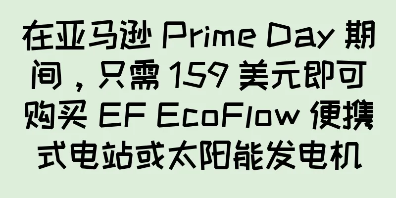 在亚马逊 Prime Day 期间，只需 159 美元即可购买 EF EcoFlow 便携式电站或太阳能发电机