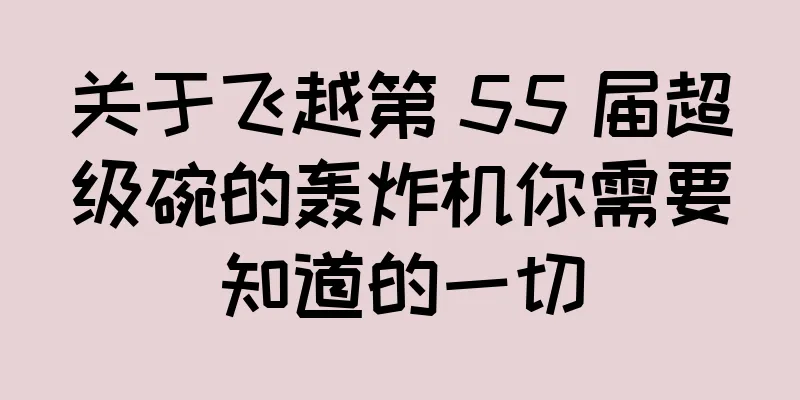 关于飞越第 55 届超级碗的轰炸机你需要知道的一切