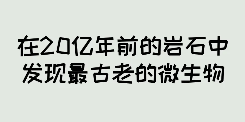 在20亿年前的岩石中发现最古老的微生物