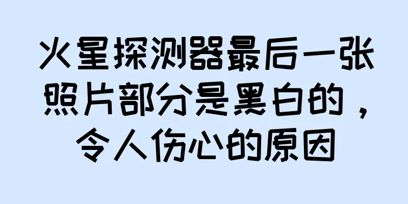 火星探测器最后一张照片部分是黑白的，令人伤心的原因