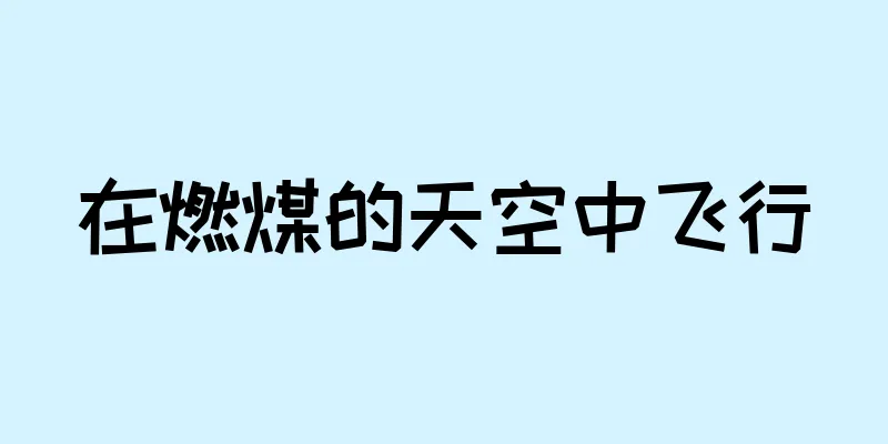 在燃煤的天空中飞行