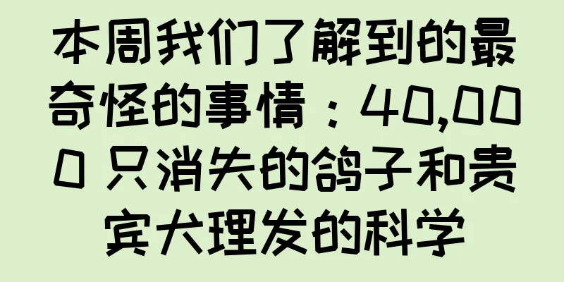 本周我们了解到的最奇怪的事情：40,000 只消失的鸽子和贵宾犬理发的科学