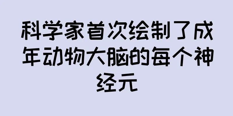 科学家首次绘制了成年动物大脑的每个神经元