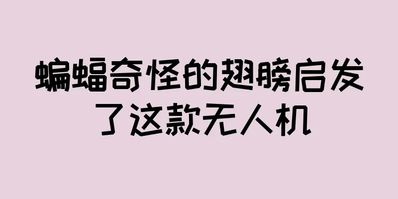 蝙蝠奇怪的翅膀启发了这款无人机