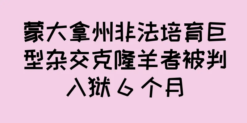蒙大拿州非法培育巨型杂交克隆羊者被判入狱 6 个月