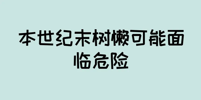 本世纪末树懒可能面临危险