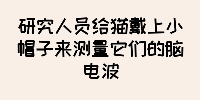 研究人员给猫戴上小帽子来测量它们的脑电波