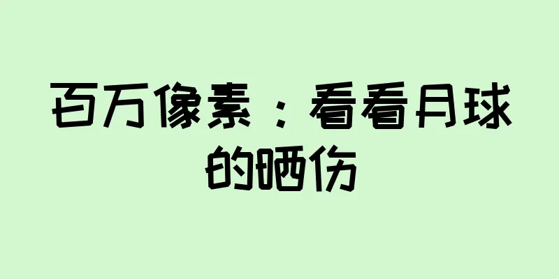 百万像素：看看月球的晒伤