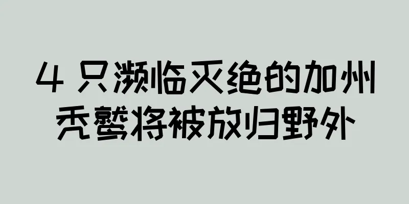 4 只濒临灭绝的加州秃鹫将被放归野外