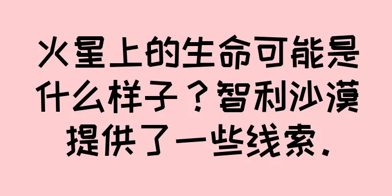 火星上的生命可能是什么样子？智利沙漠提供了一些线索。