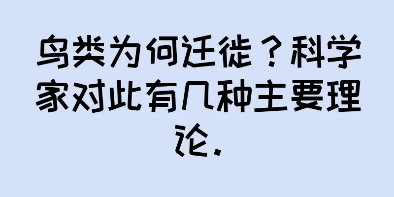 鸟类为何迁徙？科学家对此有几种主要理论。